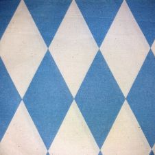 Raute_groß_hellblau.jpg
